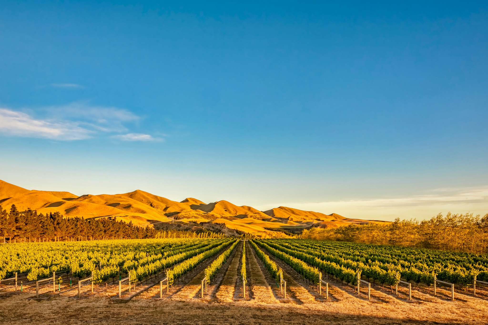 Volcanic Hills Winery