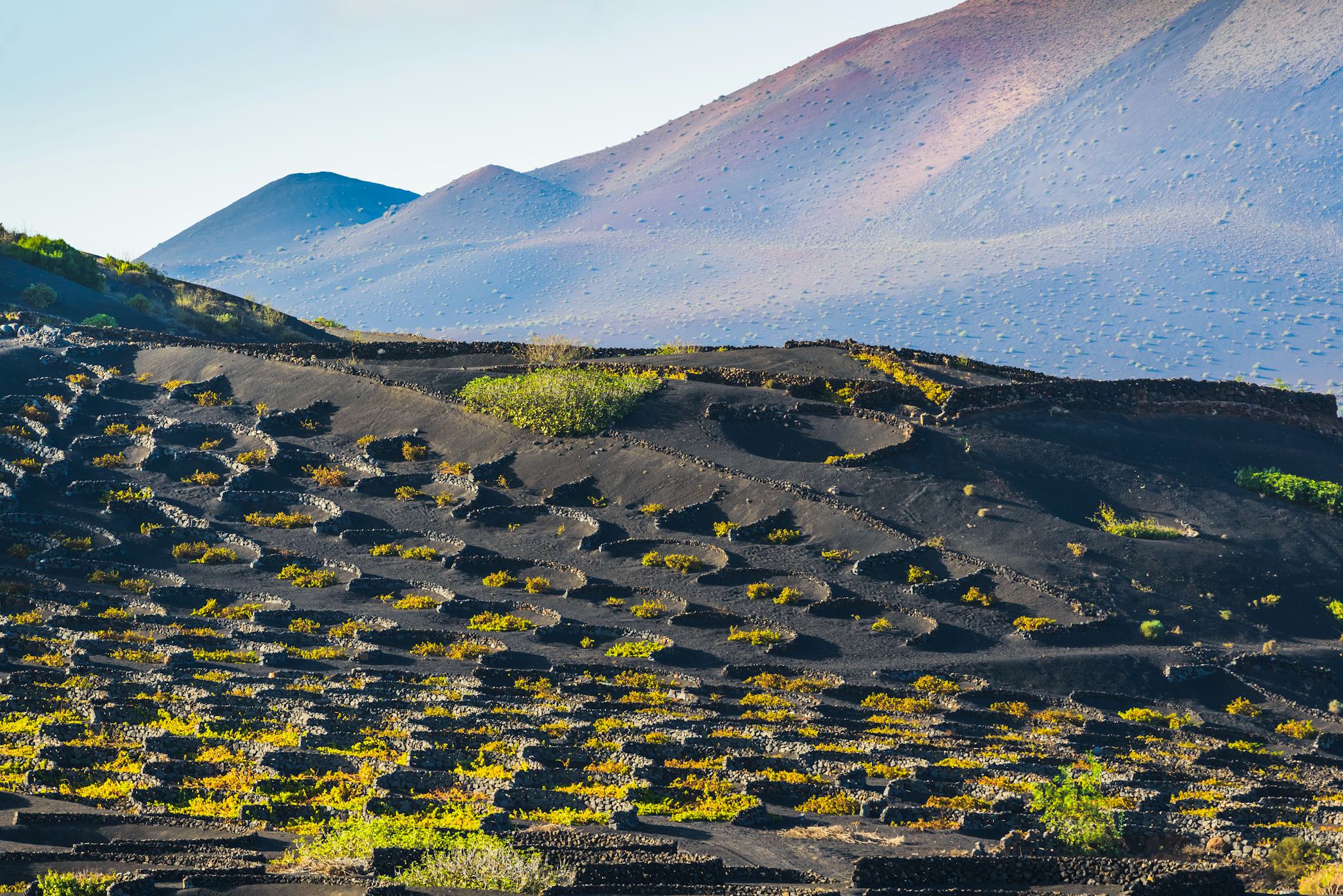Volcanic Hills Winery