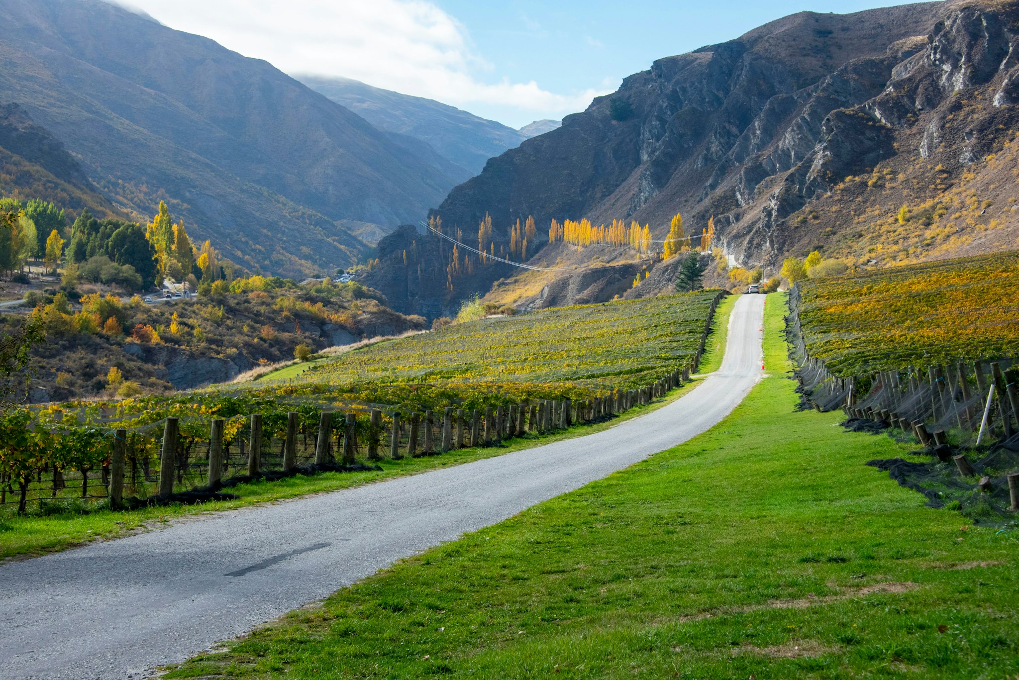 Volcanic Hills Winery