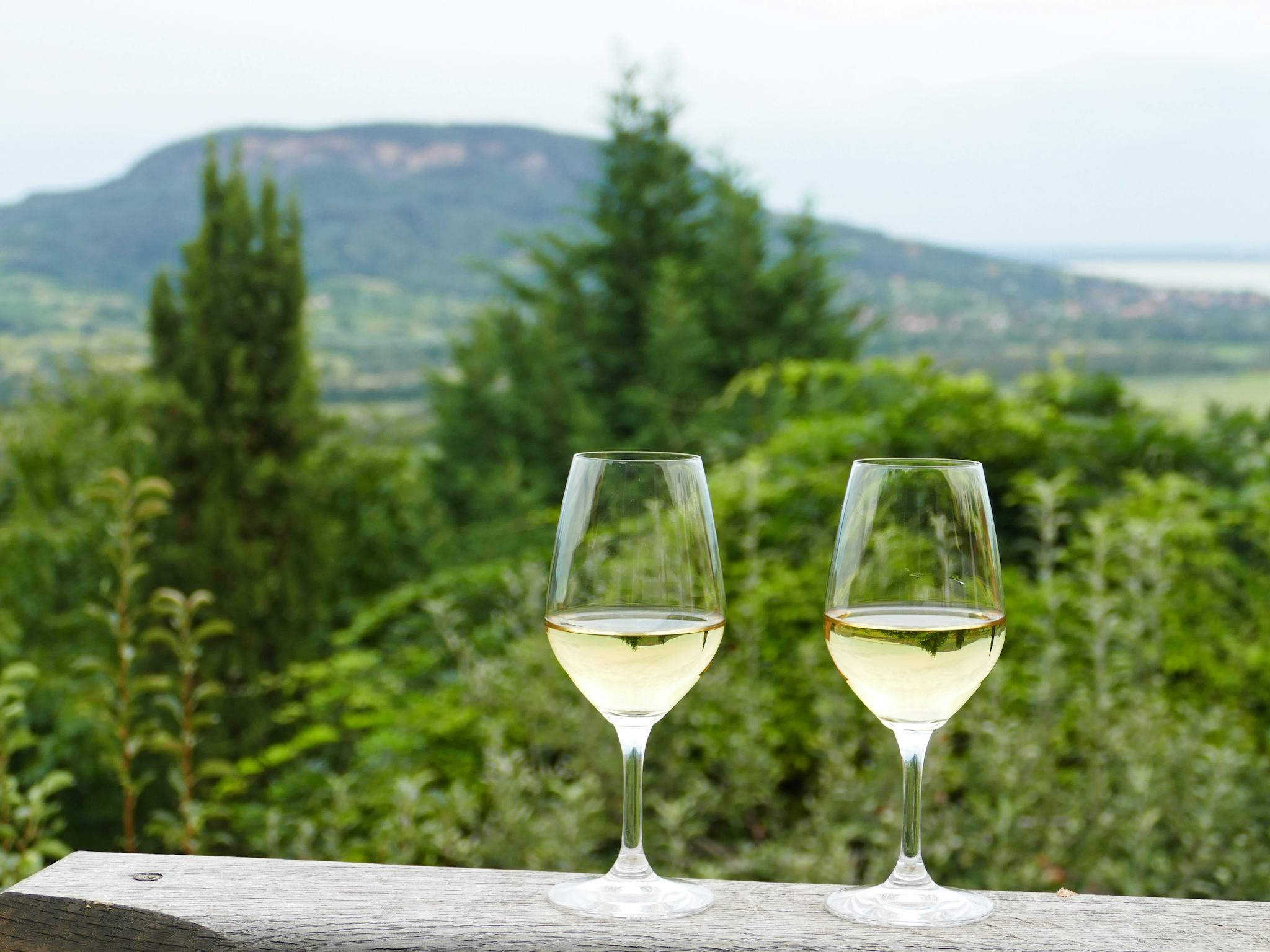 Volcanic Hills Winery