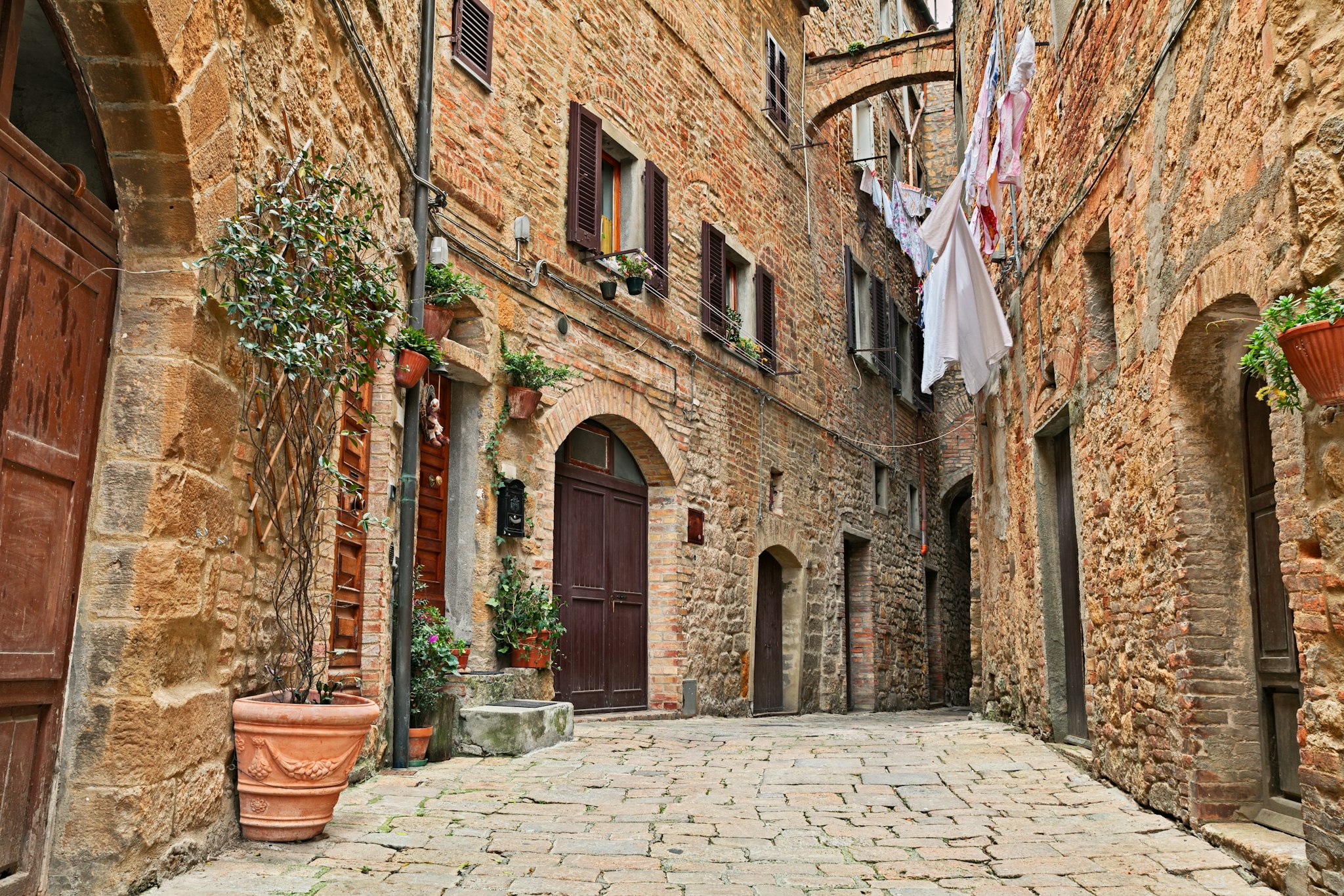 Volterra