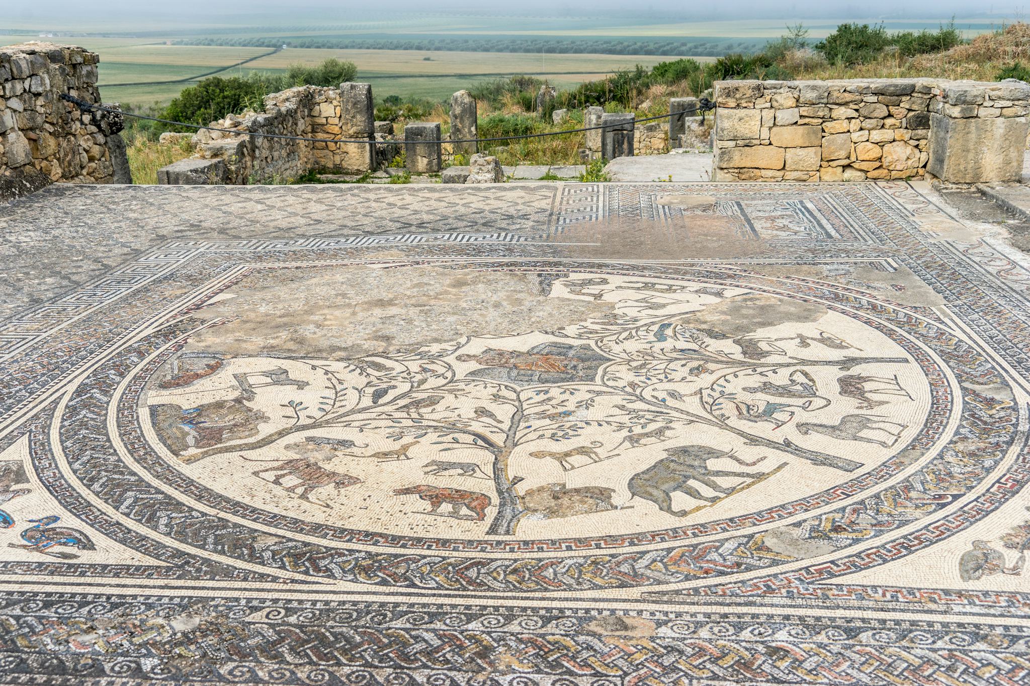 Volubilis