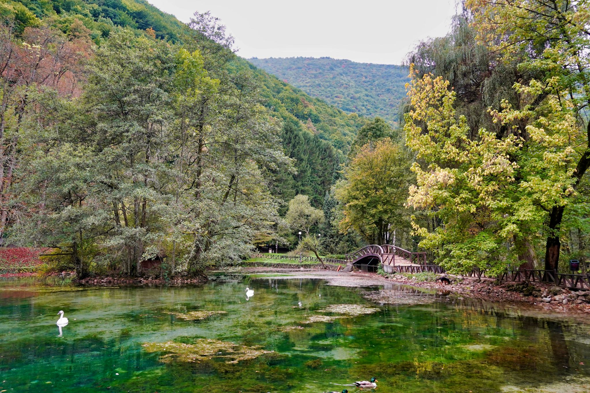 Vrelo Bosne