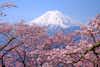 Discover location header image