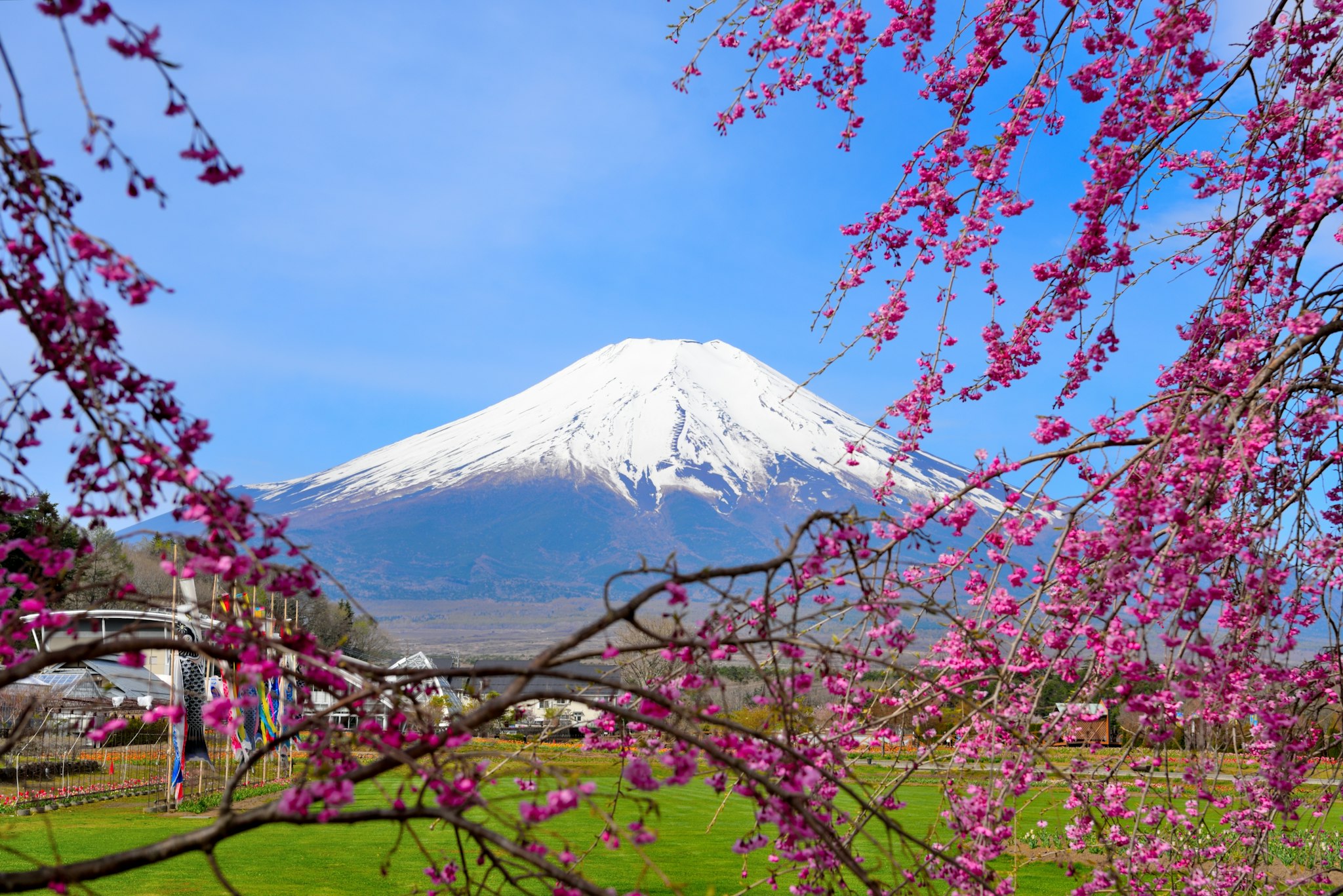 Yamanakako Hana no Miyako Park