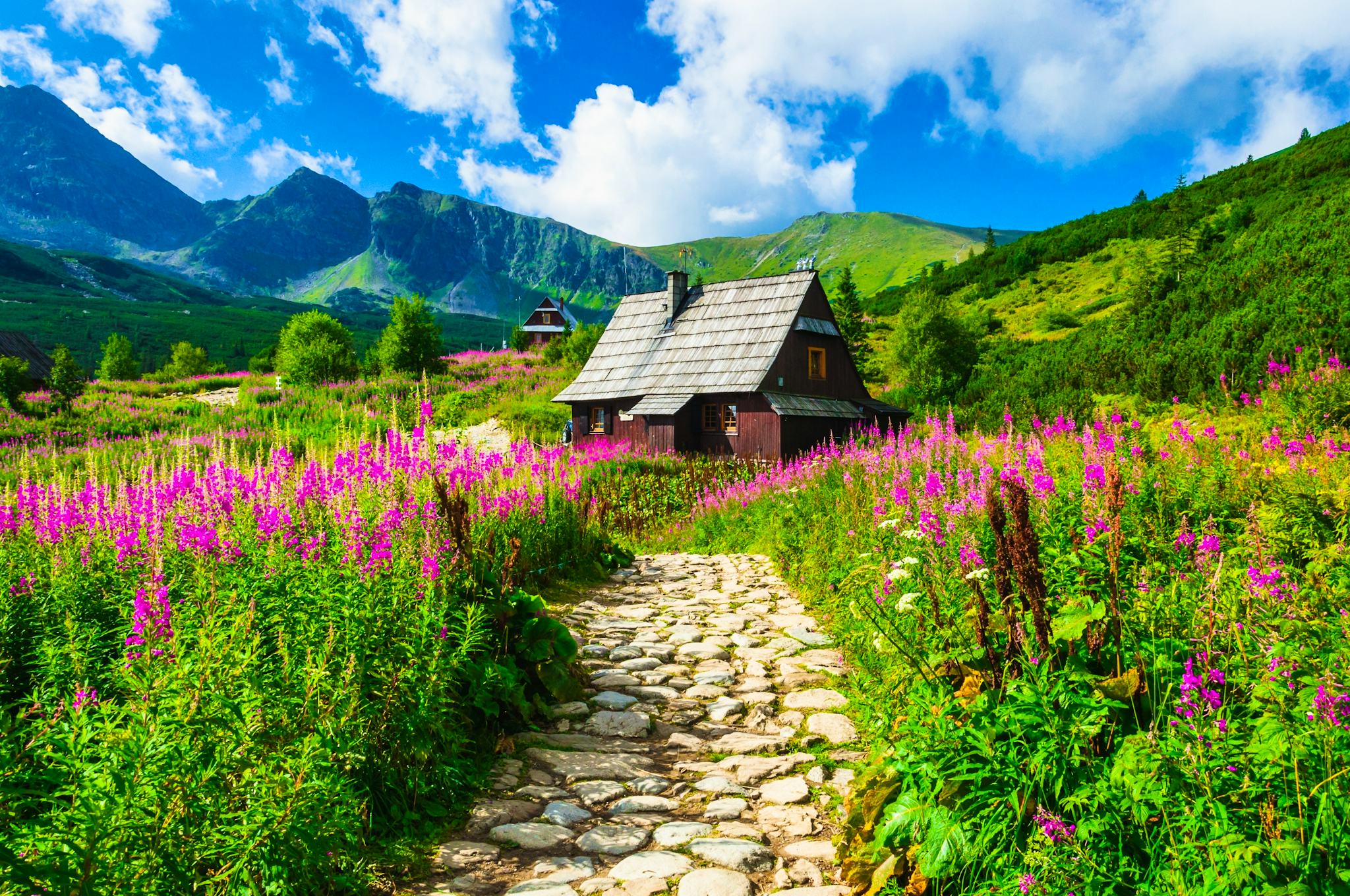 Krakow to Wieliczka Salt Mine and Zakopane: Private day trip