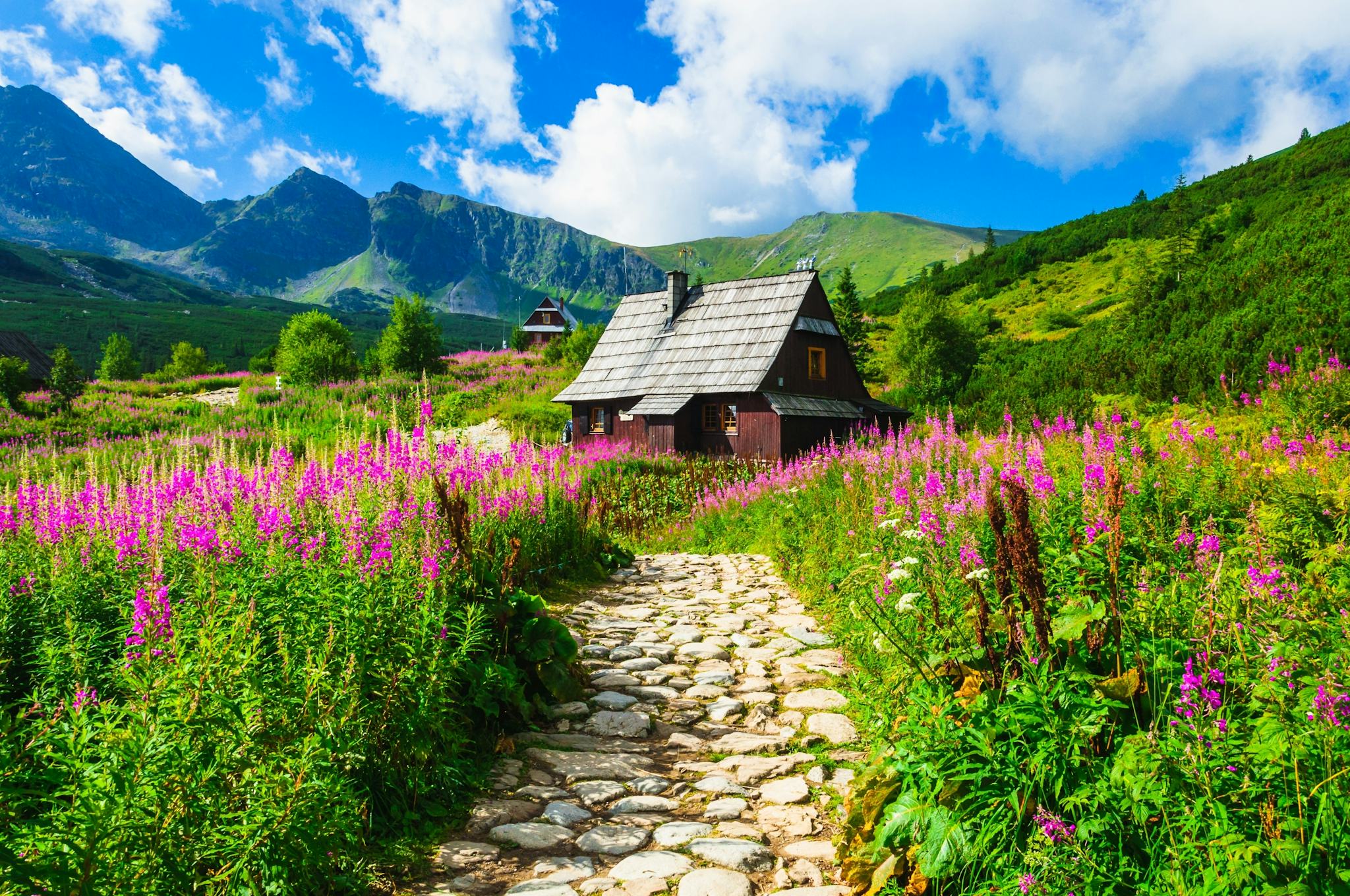 Zakopane